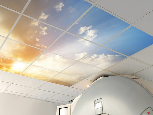 Virtual Skylights