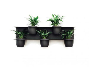 Lanna Garden Shelf