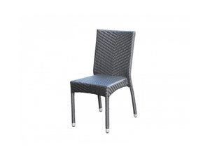 Palm Chair